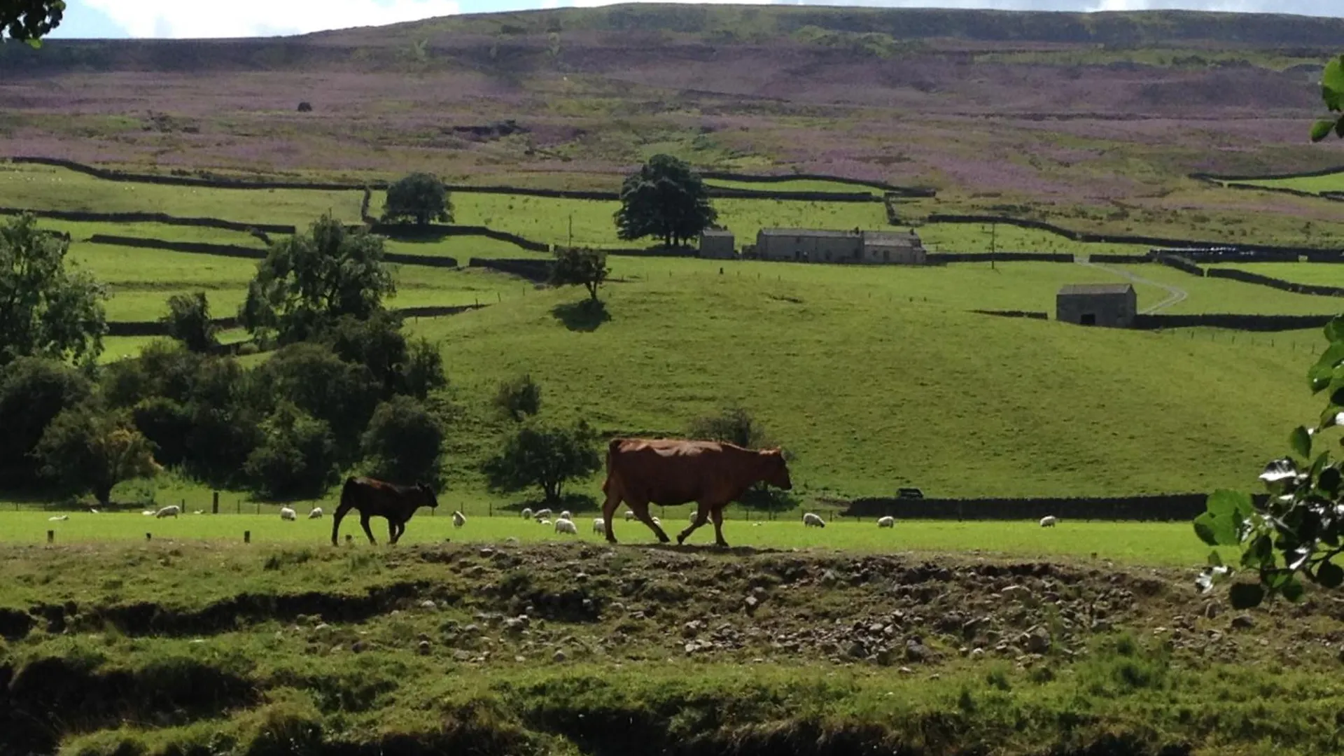 Union Farm Cottage Reeth Hébergement de vacances
